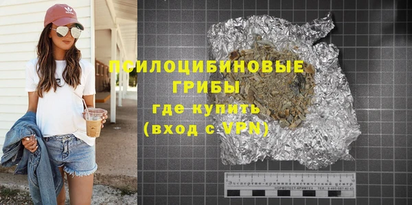 apvp Каменногорск