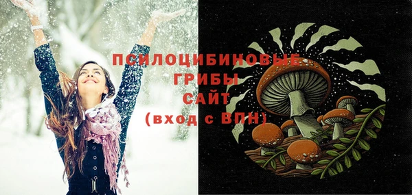 спиды Каменск-Шахтинский