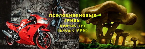 apvp Каменногорск