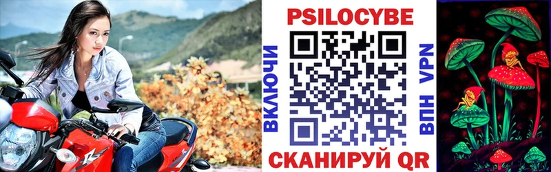 Псилоцибиновые грибы GOLDEN TEACHER  Купить  Венёв 